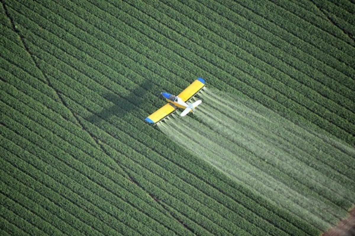 Governo Federal pretende mapear origem e consumo de insumos no Brasil