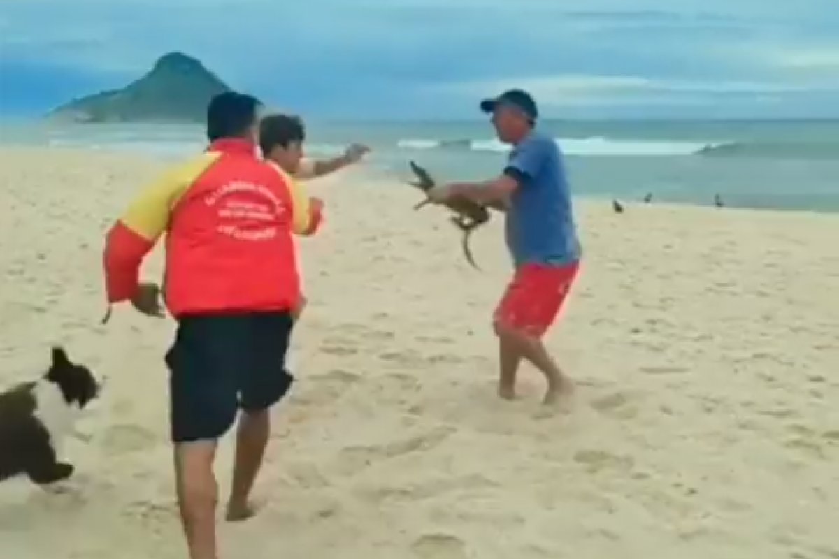 Vídeo: Homem usa jacaré para ameaçar pessoas durante briga em praia do RJ