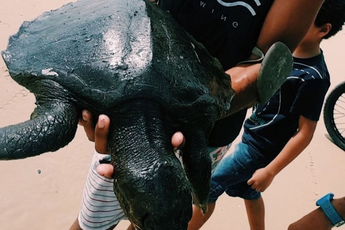 Número de locais com manchas de óleo sobe para 113 em praias do Nordeste