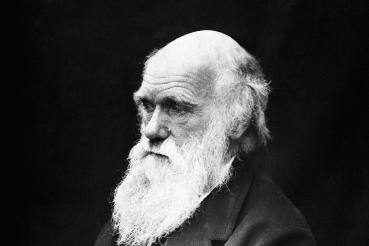 Herdeiros leiloam microscópio usado por Darwin em observações científicas