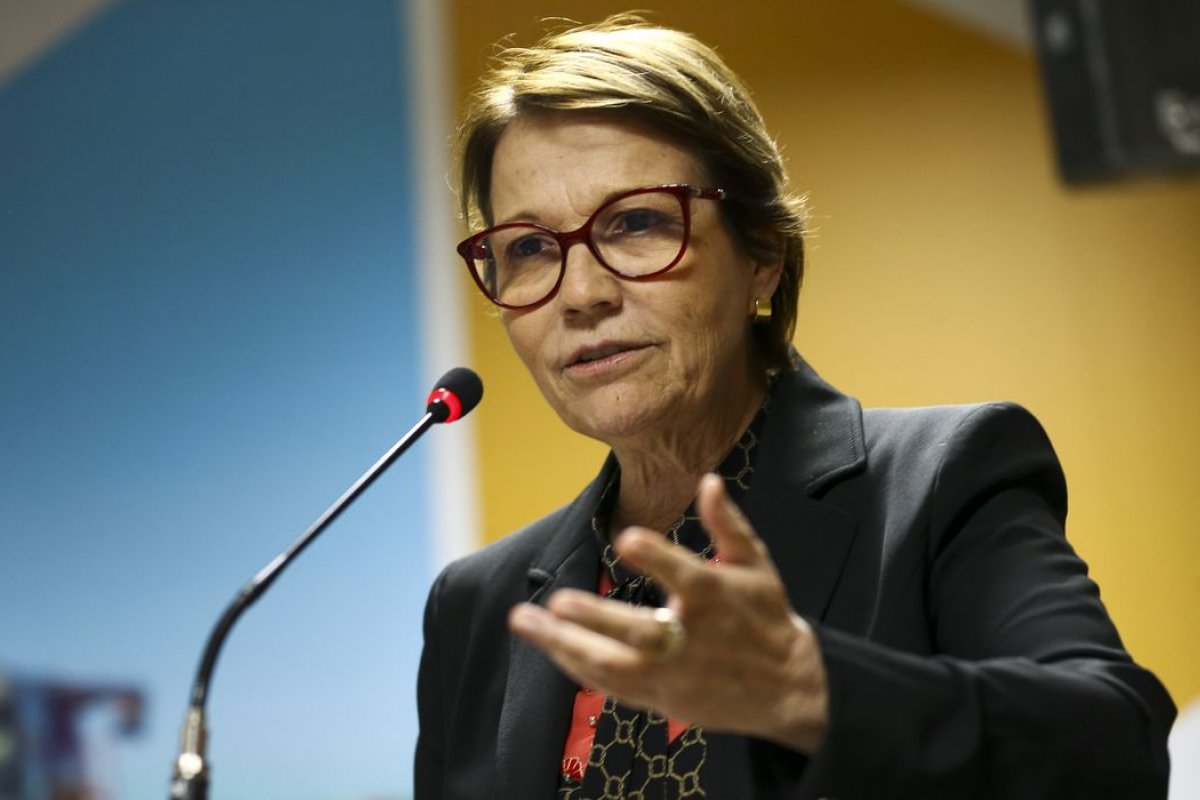 Brasil caminha para se tornar ‘maior agricultura verde do planeta’, afirma Tereza Cristina