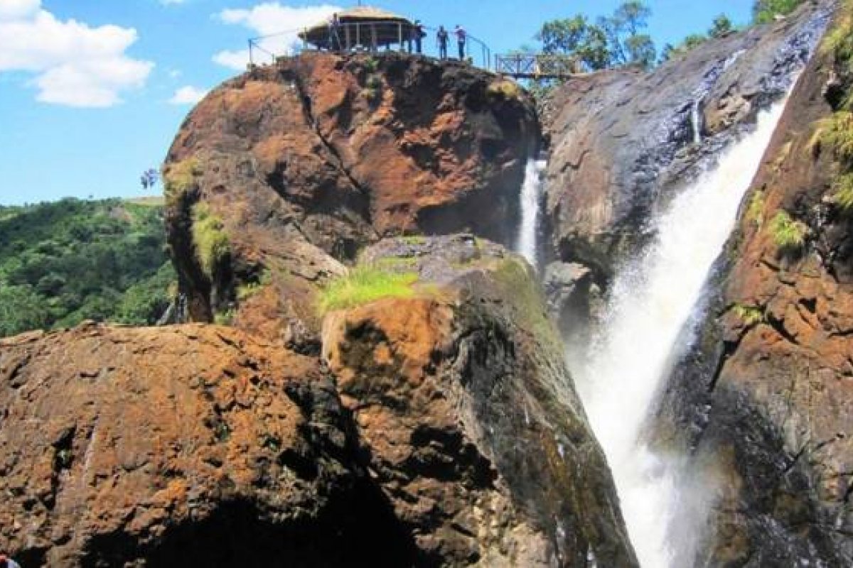 Estudo aponta que mortes ligadas a selfies sobem com a melhora da pandemia