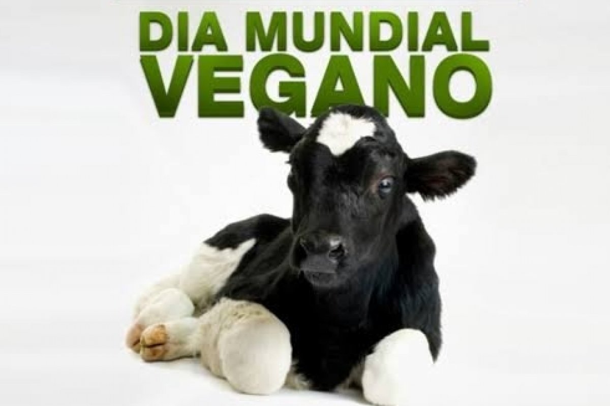 Dia Mundial do Veganismo: um estilo de vida do futuro