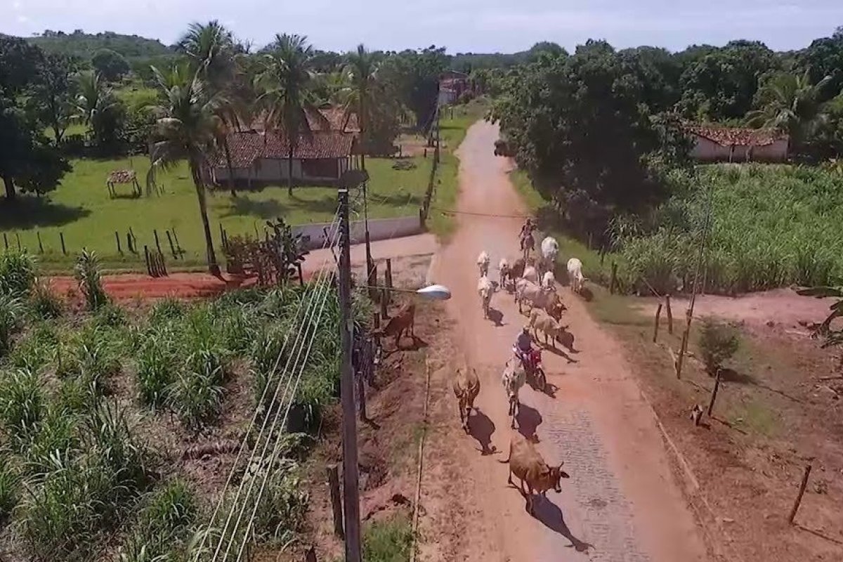 Catolândia: Menor município baiano não registra casos de Covid-19 há três meses