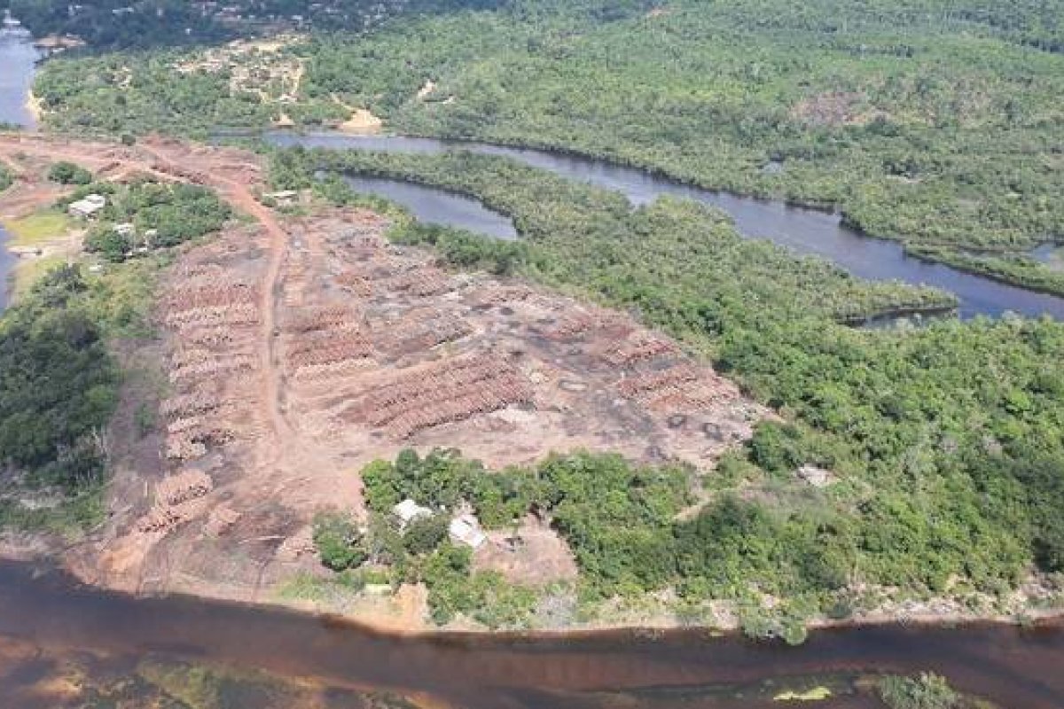 PF troca delegado que comandou apreensão de madeira ilegal no Amazonas