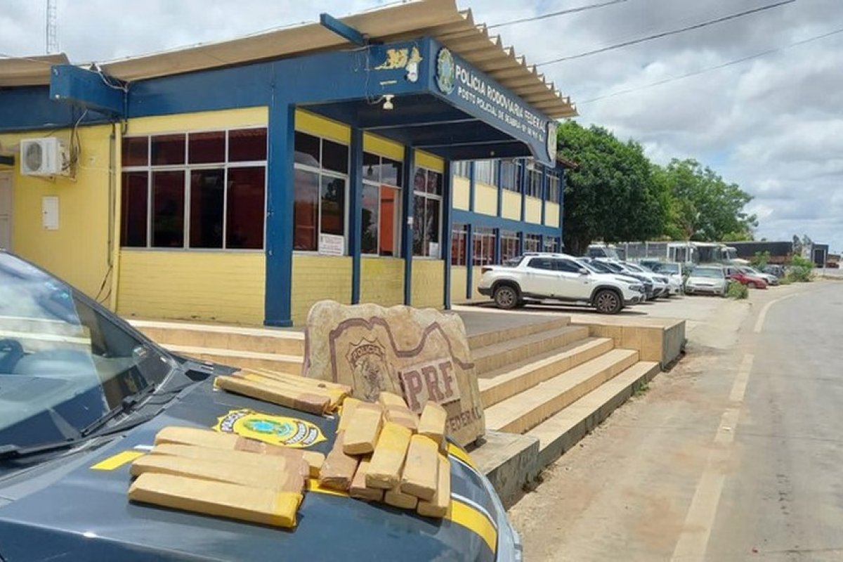 PRF prende mulher com quase 20 quilos de maconha em ônibus na região da Chapada Diamantina