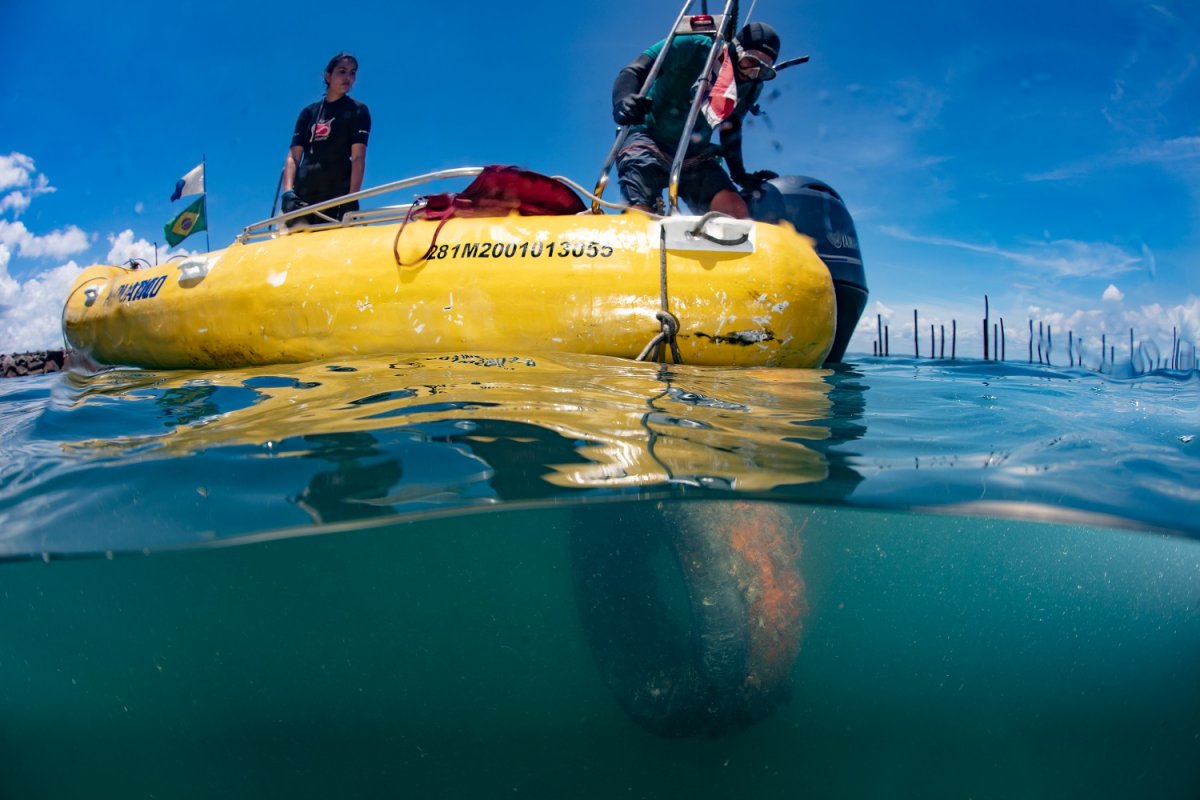 Resíduos coletados na Ilha Dos Frades refletem Selo Azul na região