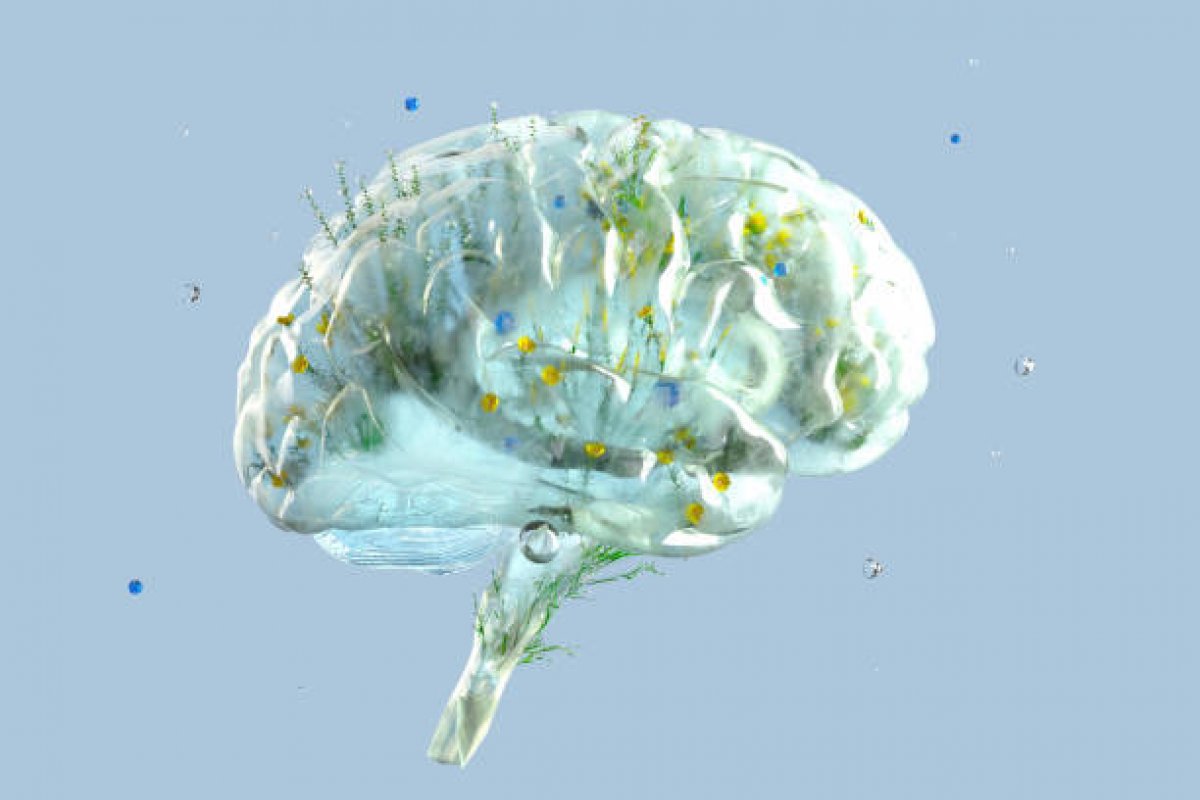 Estudo descobre que proteína cerebral atrasa "origem" de Alzheimer