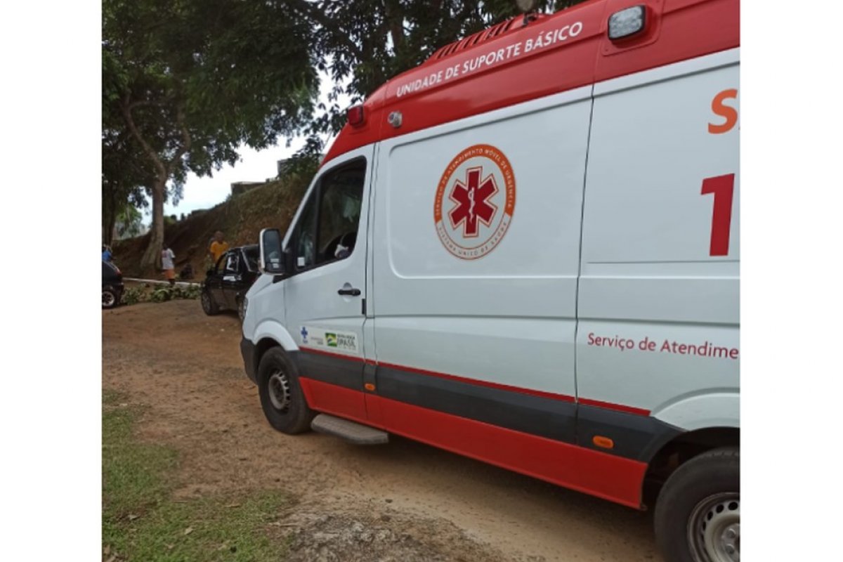 Cemitério é fechado temporariamente após ataque de abelhas em Ilhéus, no sul da BA