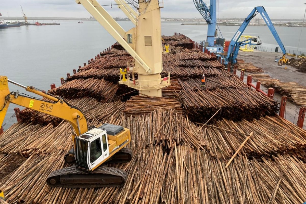  Codeba retoma movimentação de madeira no Porto de Ilhéus