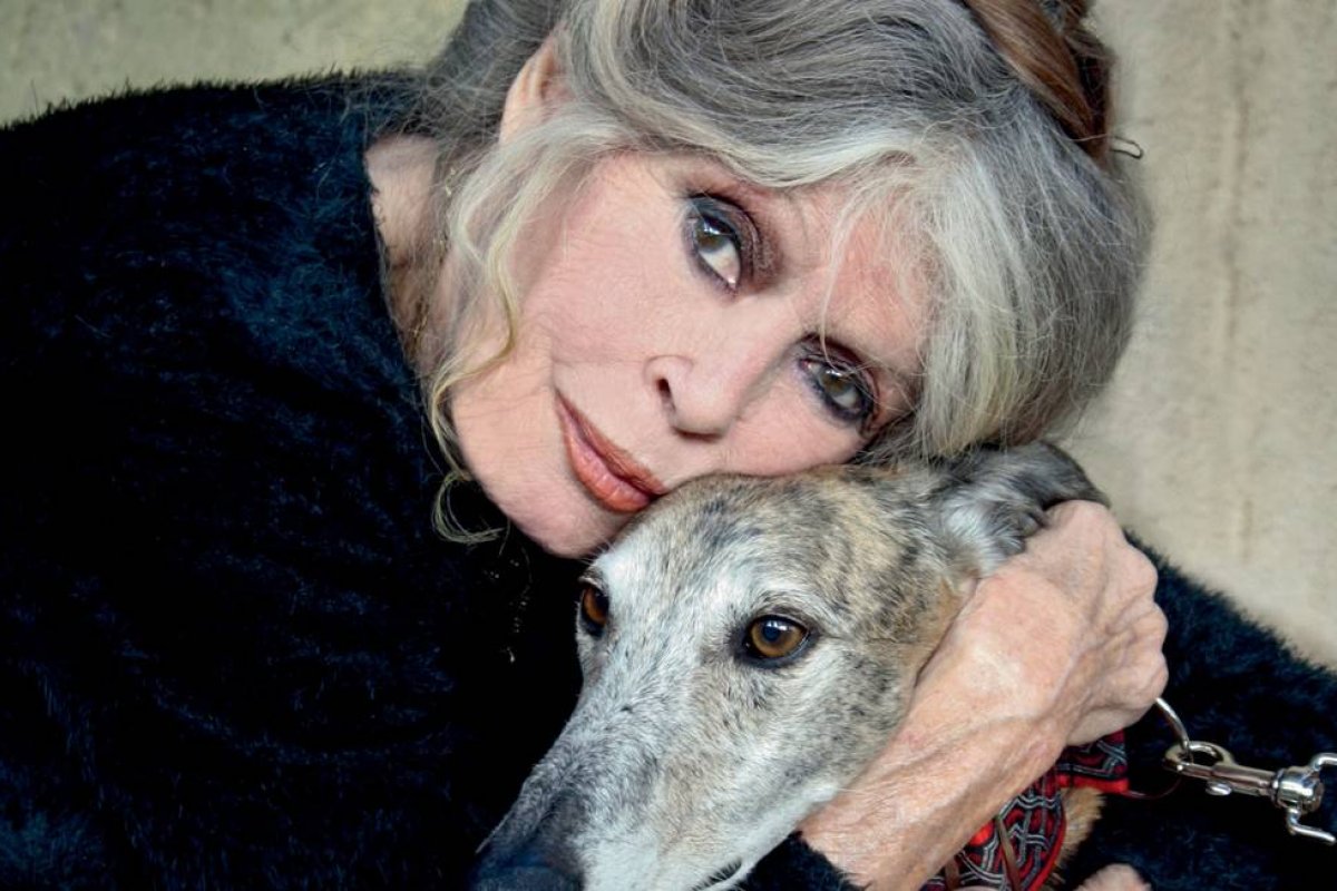 Brigitte Bardot é multada em 20 mil euros por racismo 