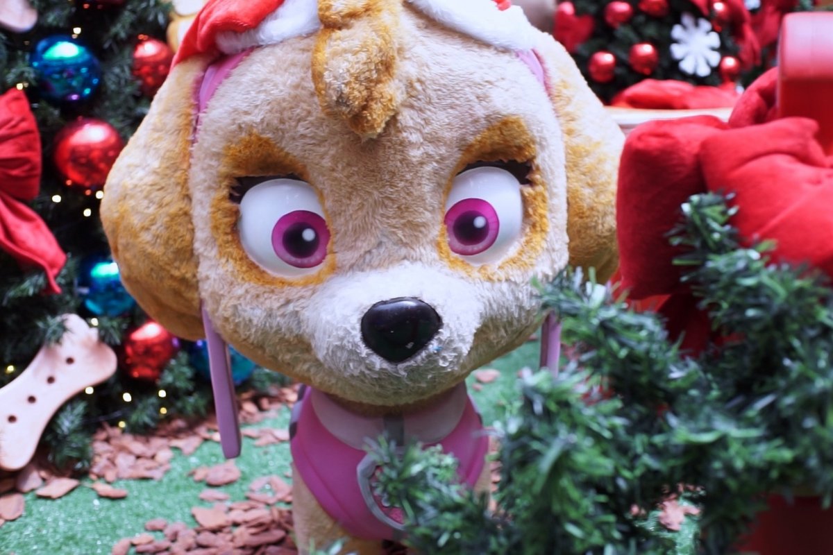 Com decoração da Patrulha Canina Oficial, Shopping Paralela estreia programação de Natal neste sábado