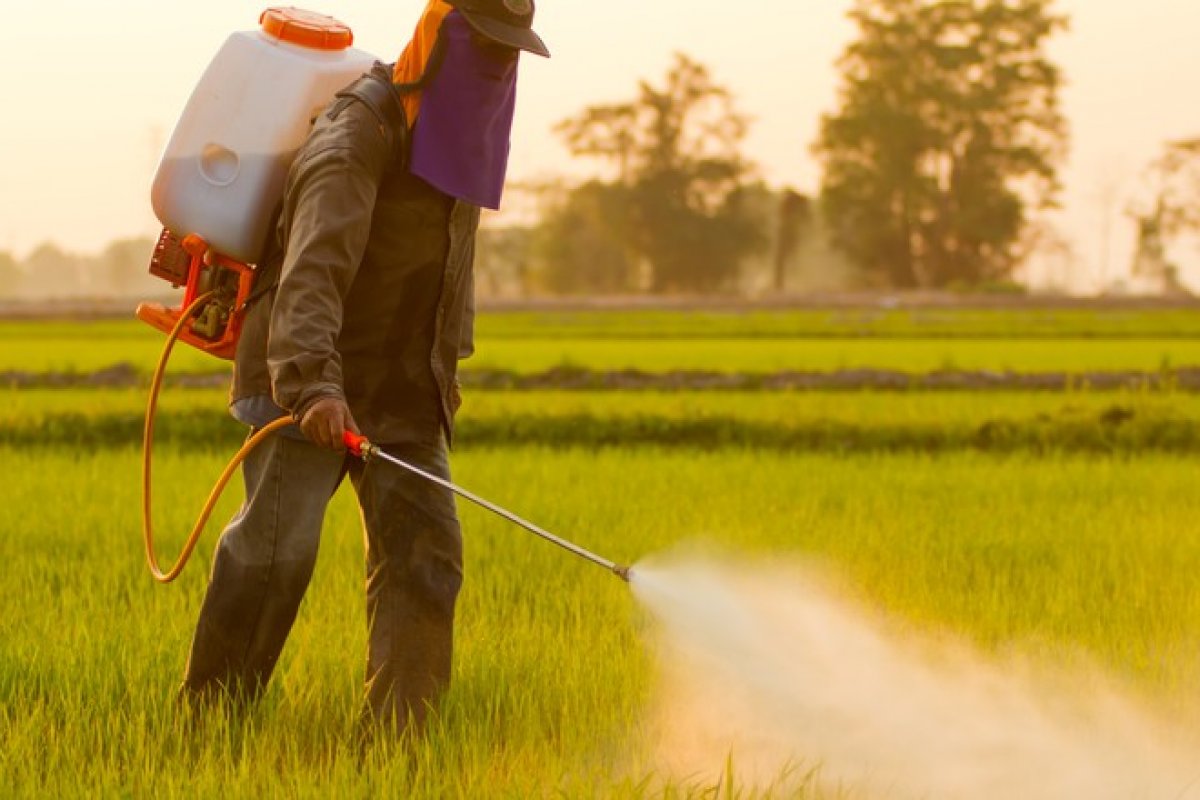 Saiba quais empregos podem expor homens ao câncer de próstata, segundo Inca