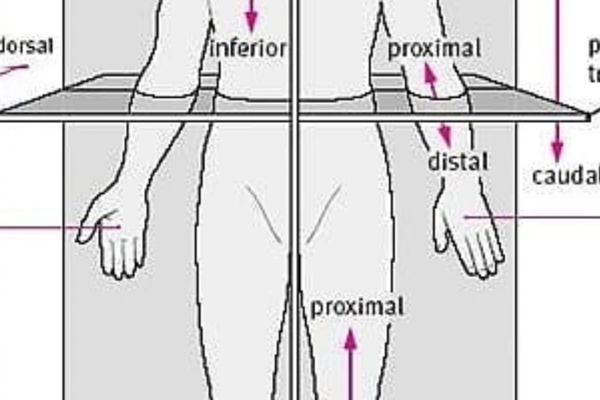 Oito em cada dez usuários de planos de saúde não realizam checkup preventivo, revela pesquisa