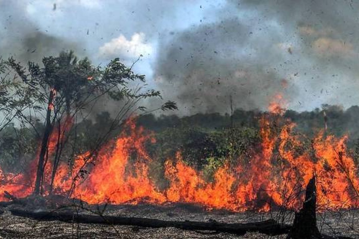 Queimadas no Brasil aumentaram 42% entre 2017 e 2020