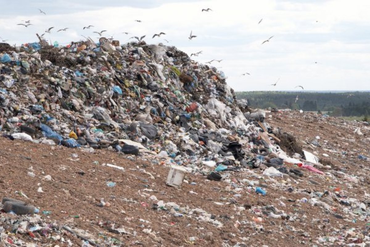 Deserto do Atacama se transforma em lixão clandestino da moda de outros países