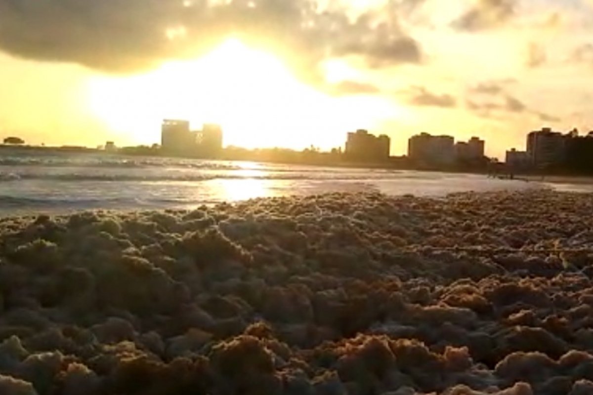 Após chuva, banhistas registram espuma densa em praia de Ilhéus