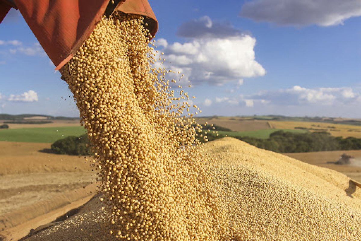 1° prognóstico prevê que safra de grãos pode ser 0,1% menor na Bahia em 2022, diz IBGE