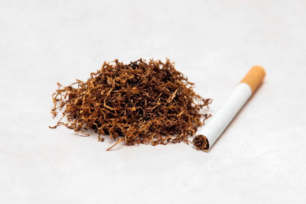 Dia Mundial sem Tabaco: médicos alertam para o consumo e dependência