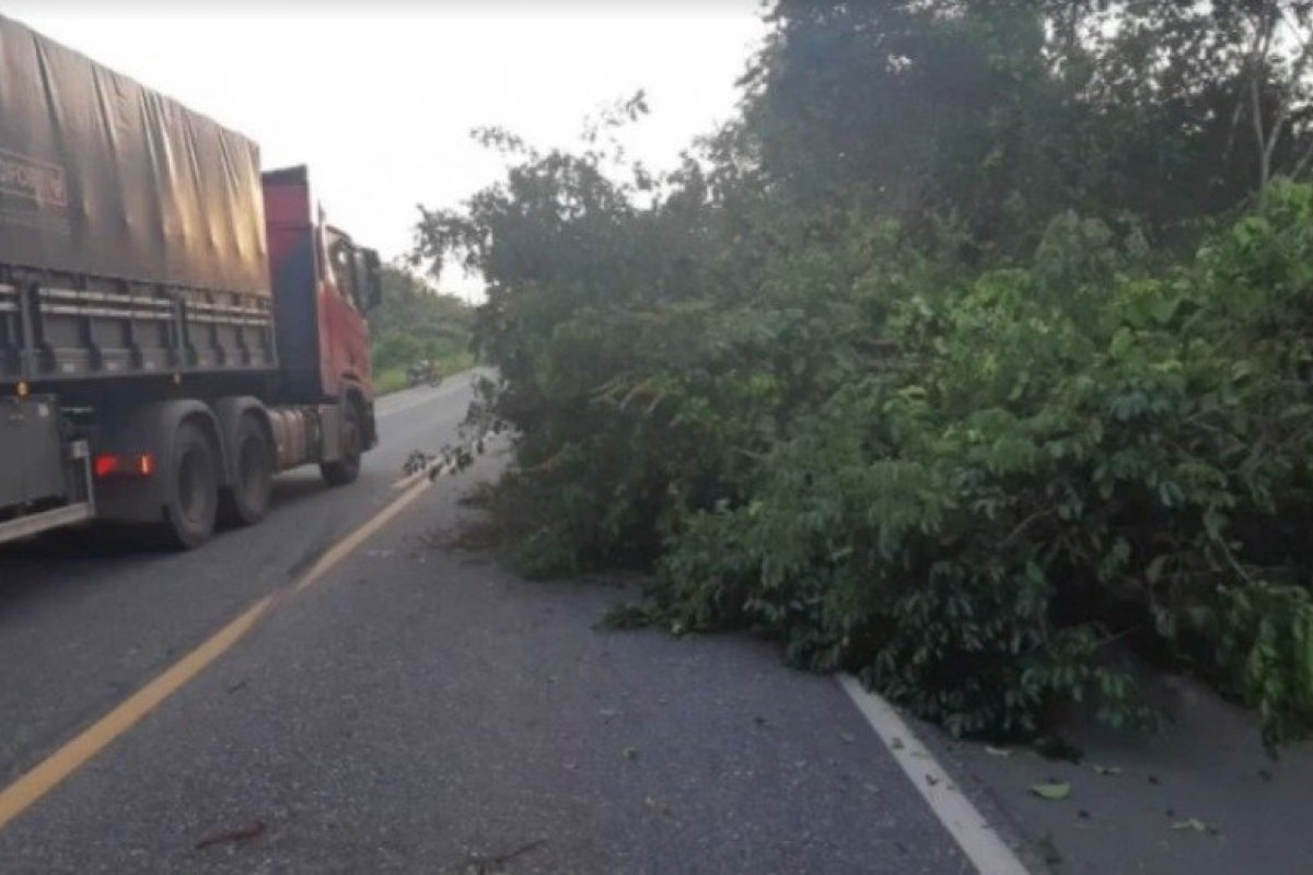 Homem escapa de acidente de trânsito, mas morre eletrocutado na BR-316