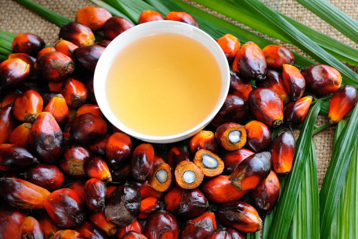 Pesquisa aponta que azeite de dendê pode potencializar metástase