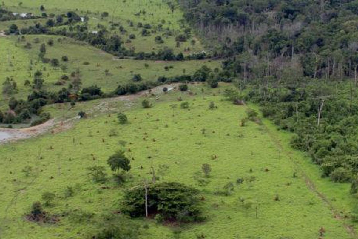 Propriedades rurais possuem 70 milhões de hectares que correm risco de serem desmatadas