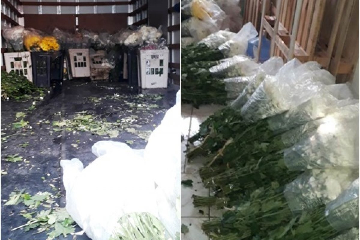 Policiais prendem homens com carga de flores avaliada em mais de R$ 150 mil em Santo Estêvão