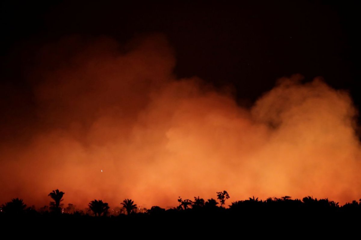 Incêndios na Amazônia afetam saúde de mais de cinco mil crianças na região