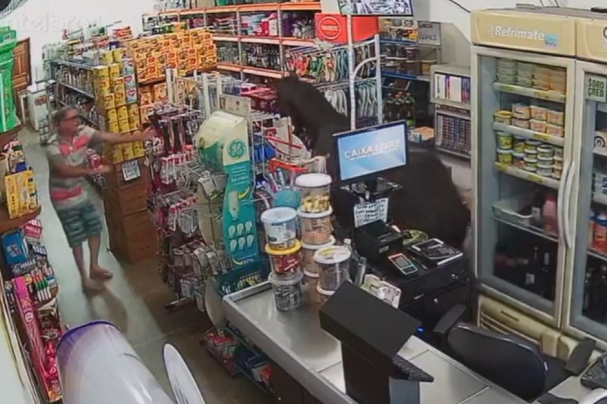 Cavalo invade mercado em Camacã, no sul da Bahia