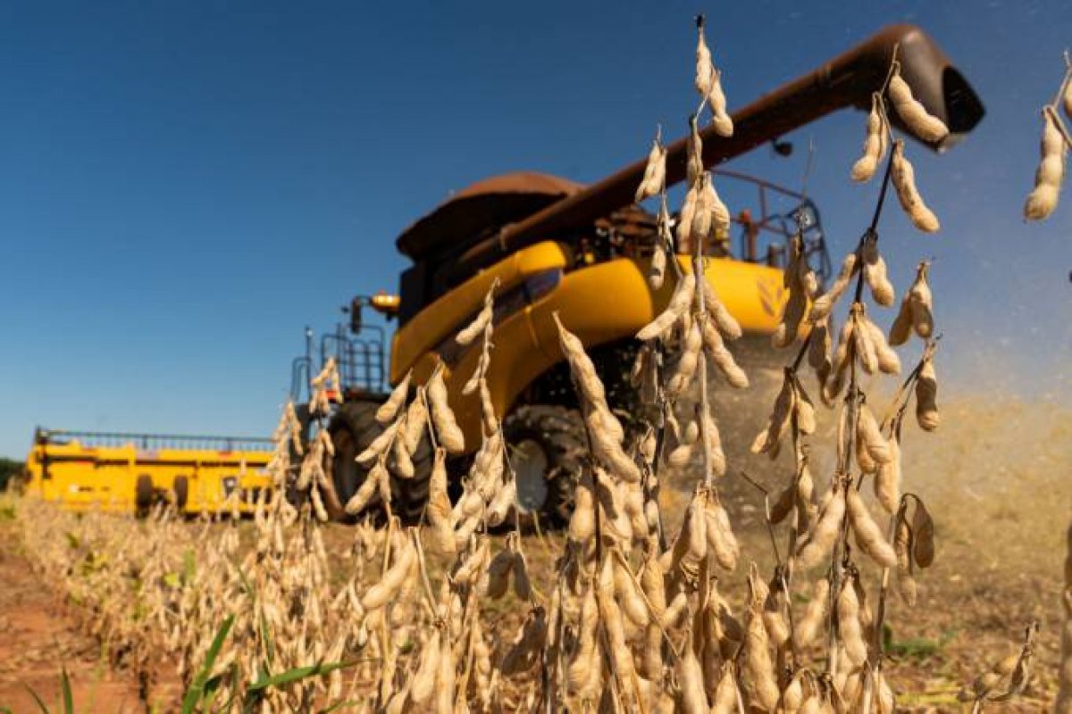 China compra mais soja do Brasil e país passa EUA no número de vendas