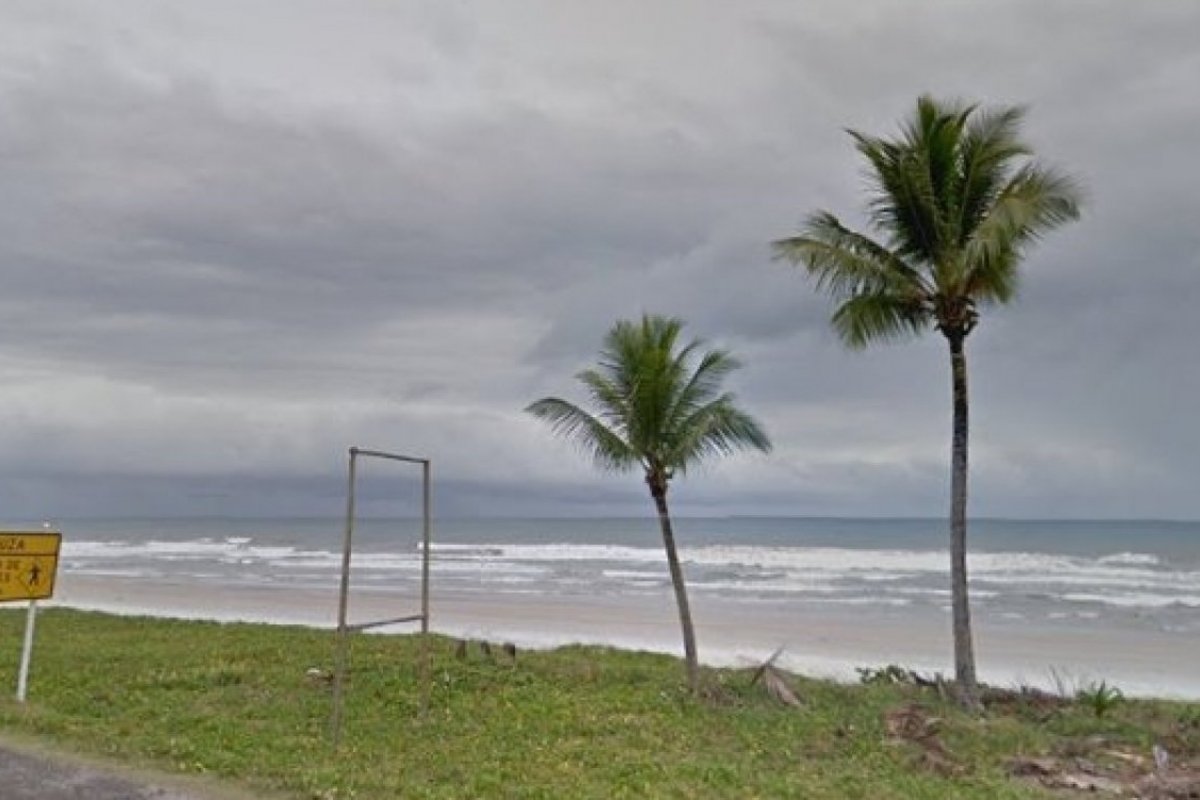 Já foram encontradas mais de 110 tartarugas mortas no sul da Bahia em 2019