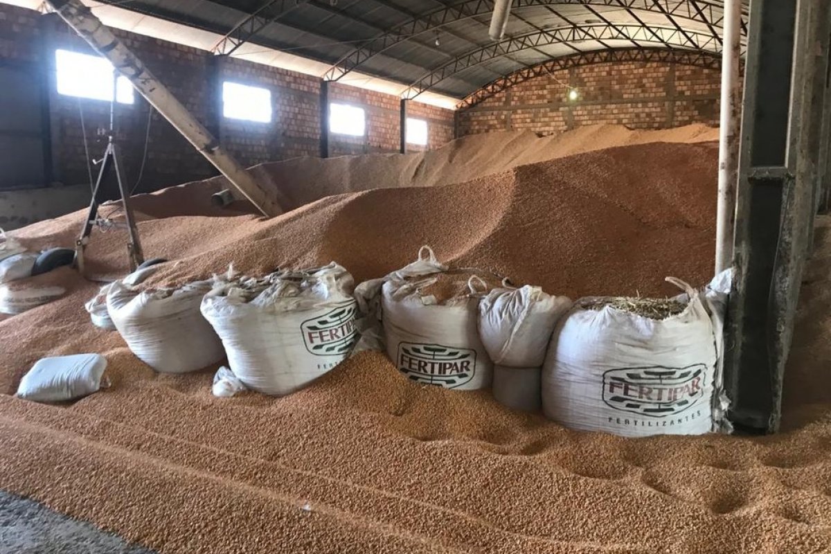Parte de carga de milho roubada em fazenda de Luís Eduardo Magalhães é recuperada