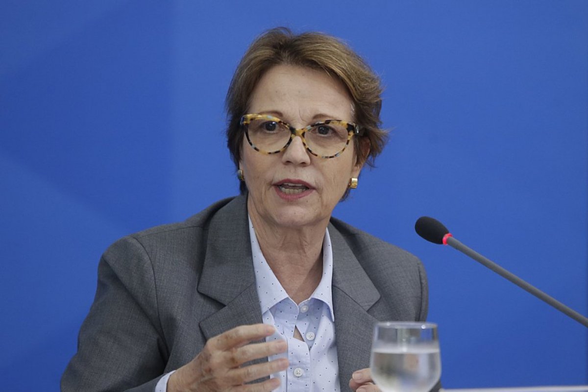 Tereza Cristina diz que Brasil vai exportar carne bovina à Rússia