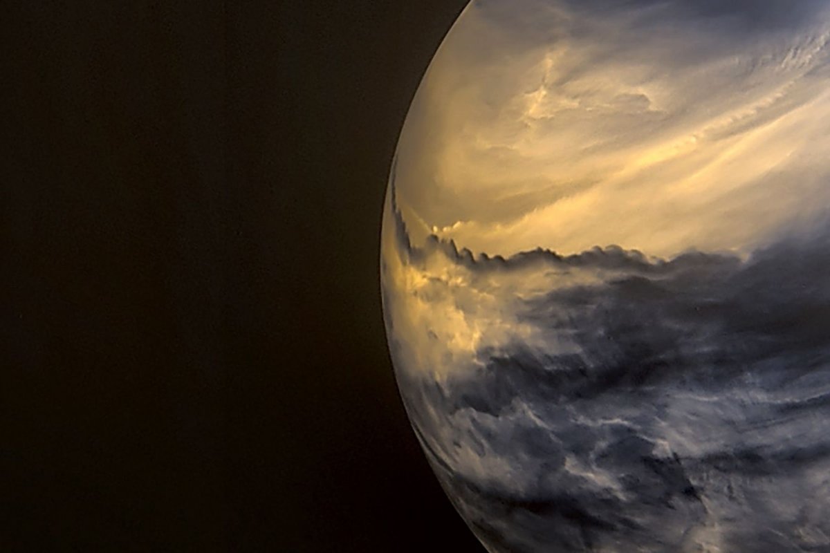 Cientistas alertam para invasão de alienígena no Planeta Terra