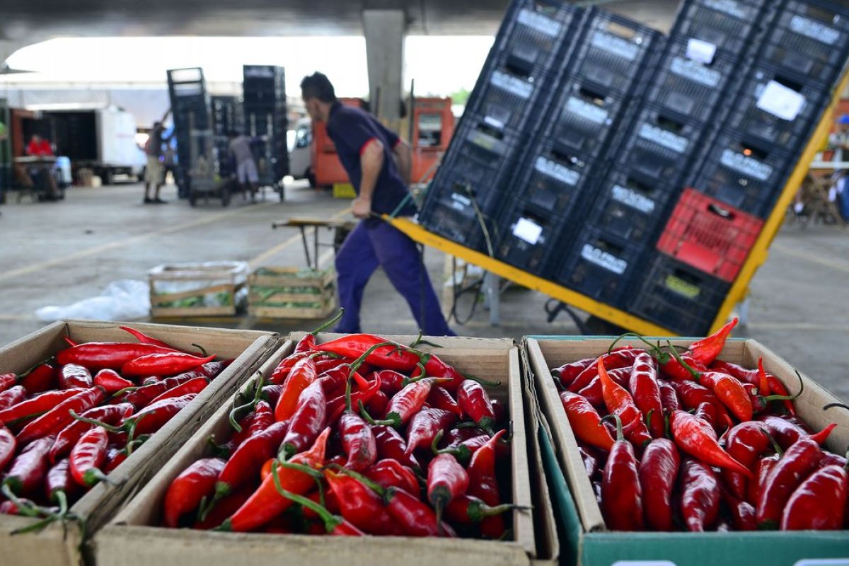 Ministério diz que 89% dos vegetais comercializados no Brasil são seguros para consumo