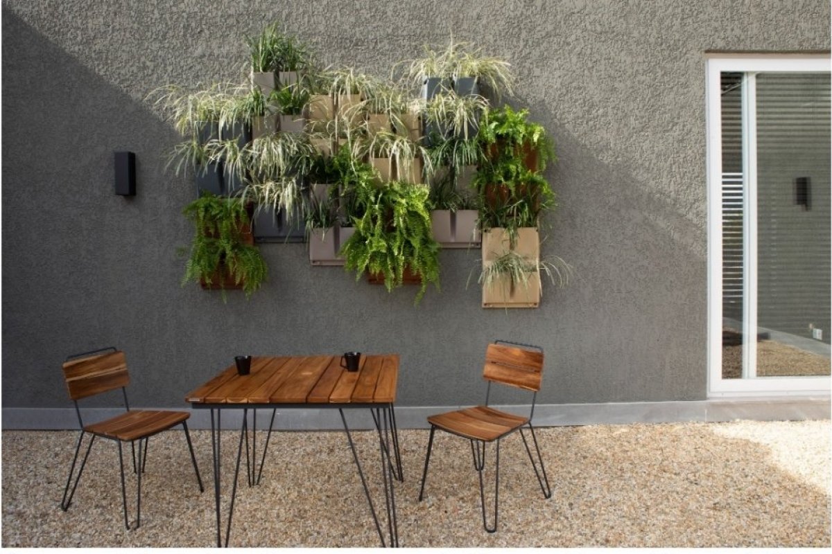 Confira 5 dicas para cultivar plantas saudáveis e bonitas