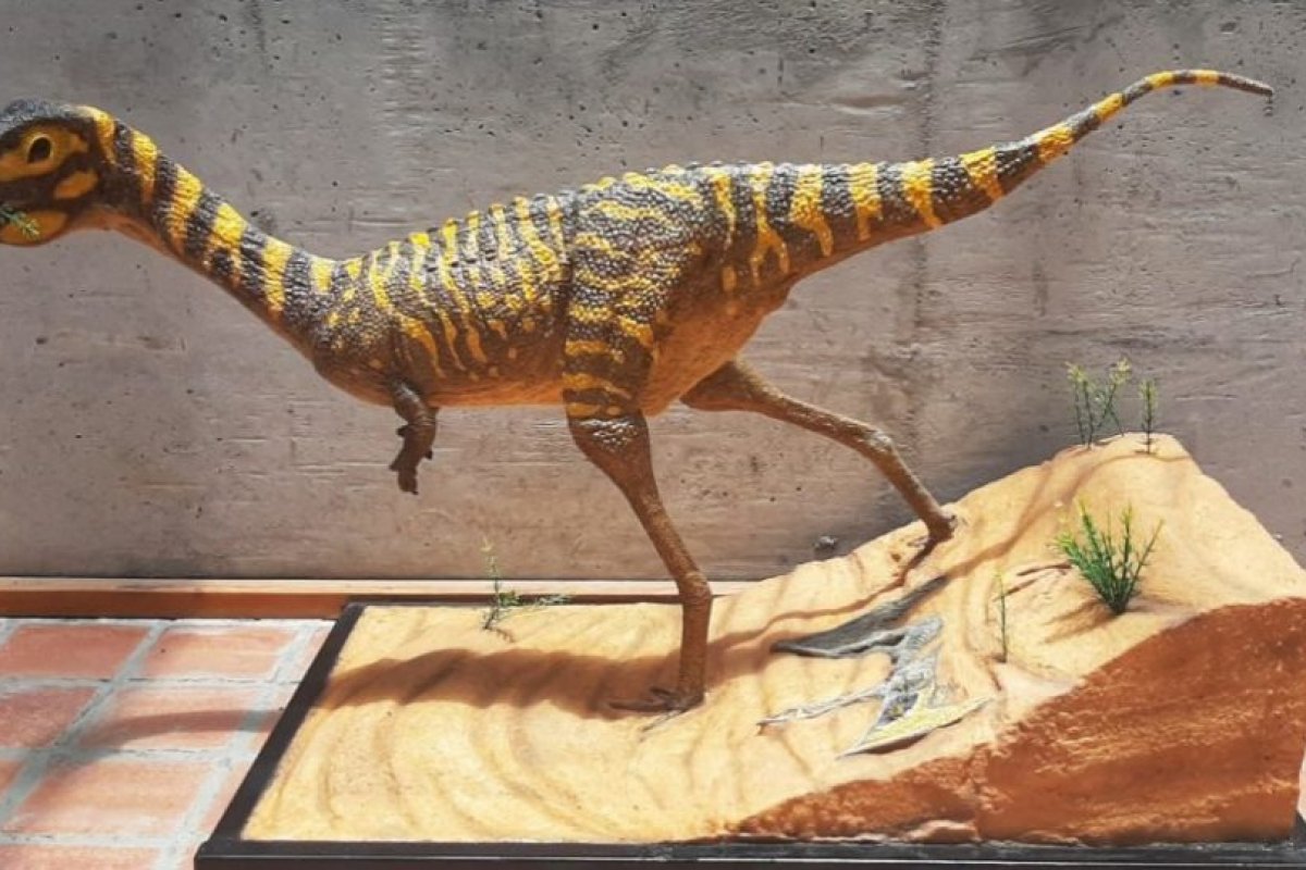 Pesquisadores brasileiros descobrem nova espécie de dinossauro no interior do Paraná
