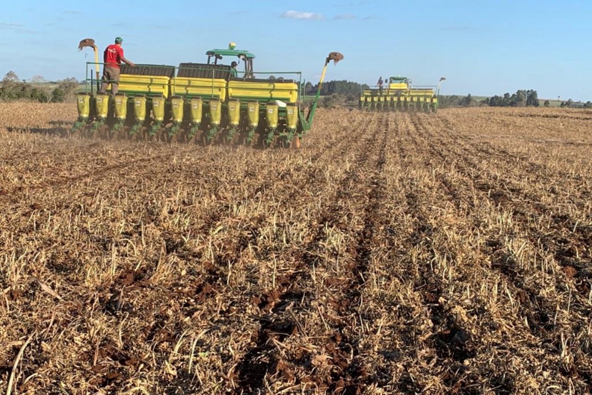 Plantio de soja da safra 2021/22 atinge 86% da área total, diz levantamento