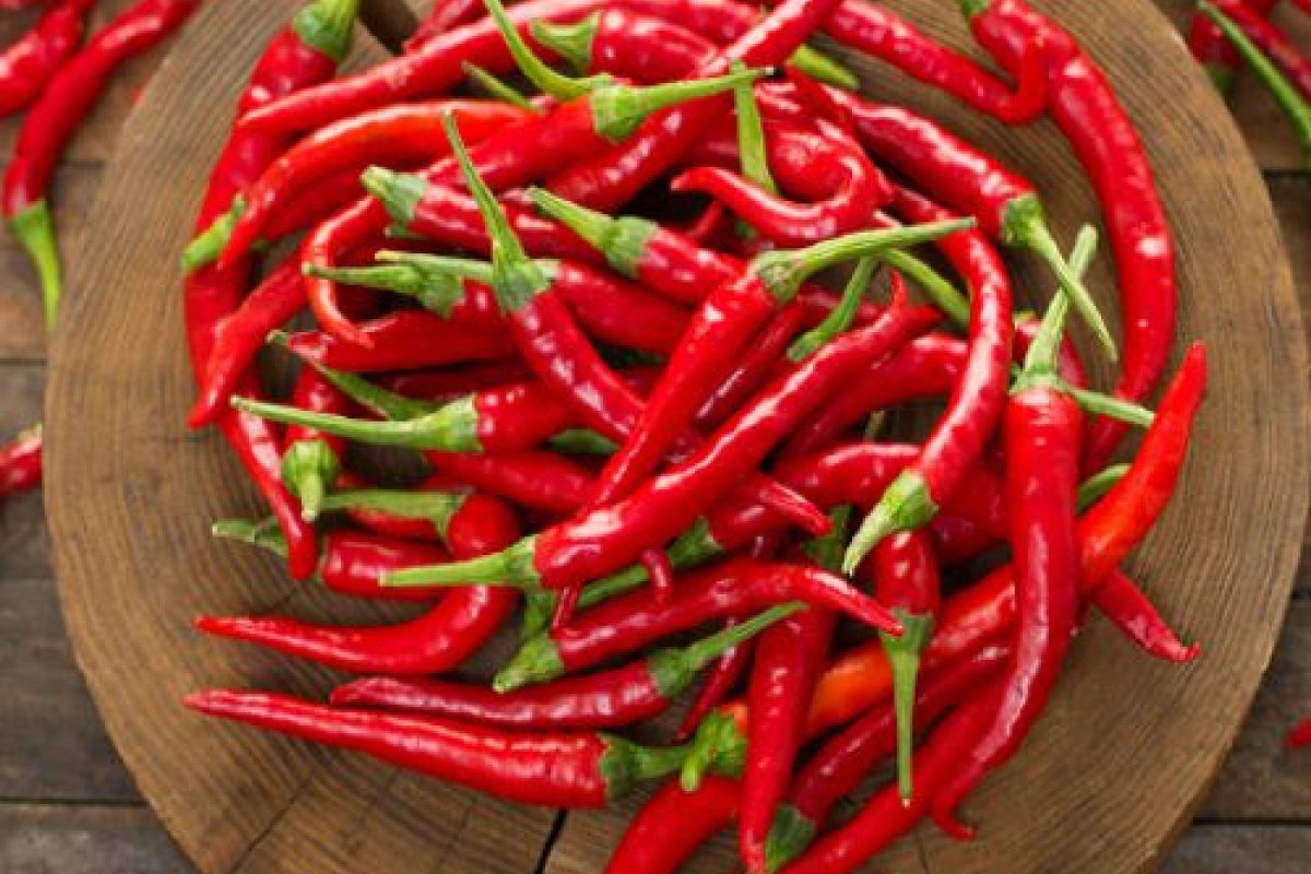 Festival Gastronômico e Cultural de Praia do Forte começa nesta quinta-feira; pimenta é tema da 15ª edição do evento