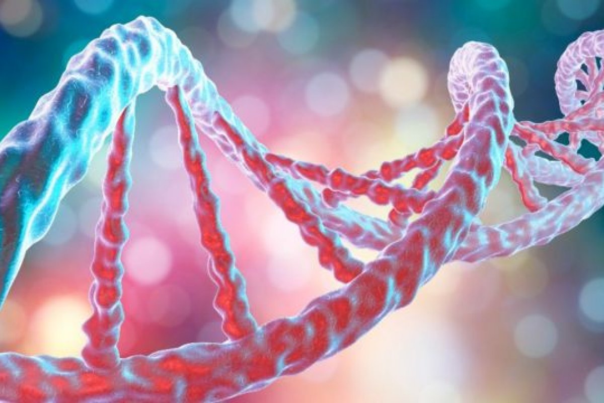 Ômicron: nova variante da Covid-19 já foi detectada em 17 países