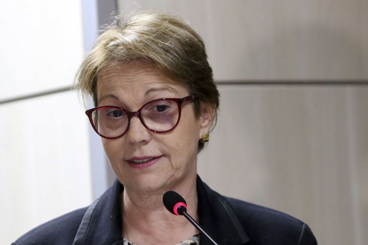 'Há um desafio de construção da economia da floresta', diz ministra da Agricultura