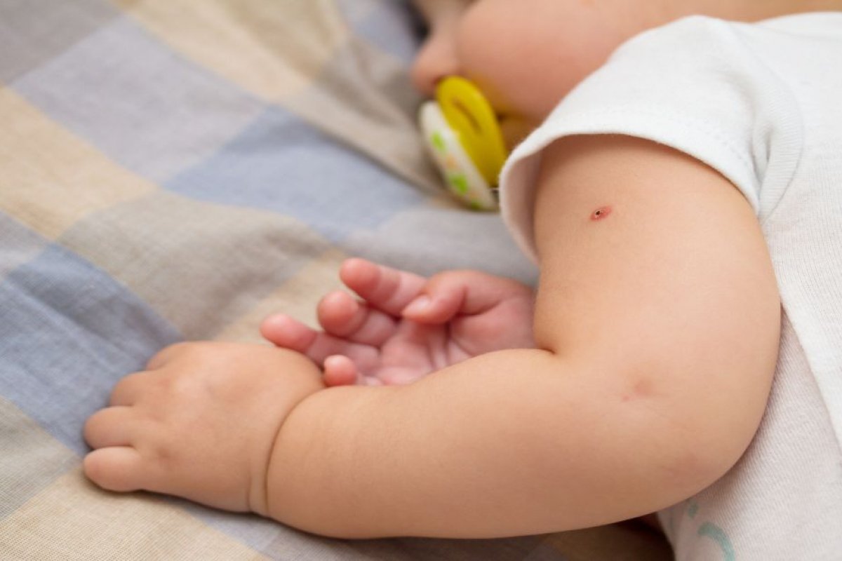 Ministério nega atraso em entrega de doses da vacina BCG à Bahia