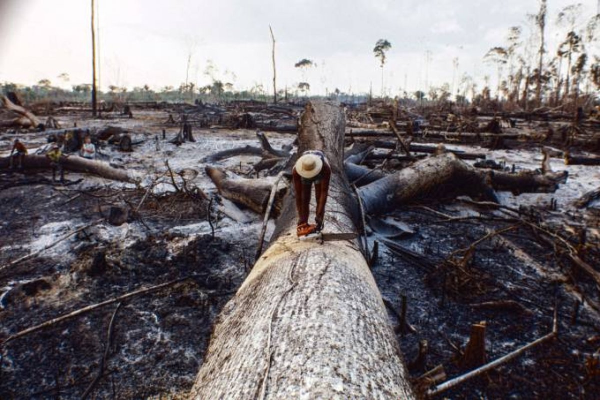 Focos de incêndio na Amazônia diminuem em 16% no mês de setembro