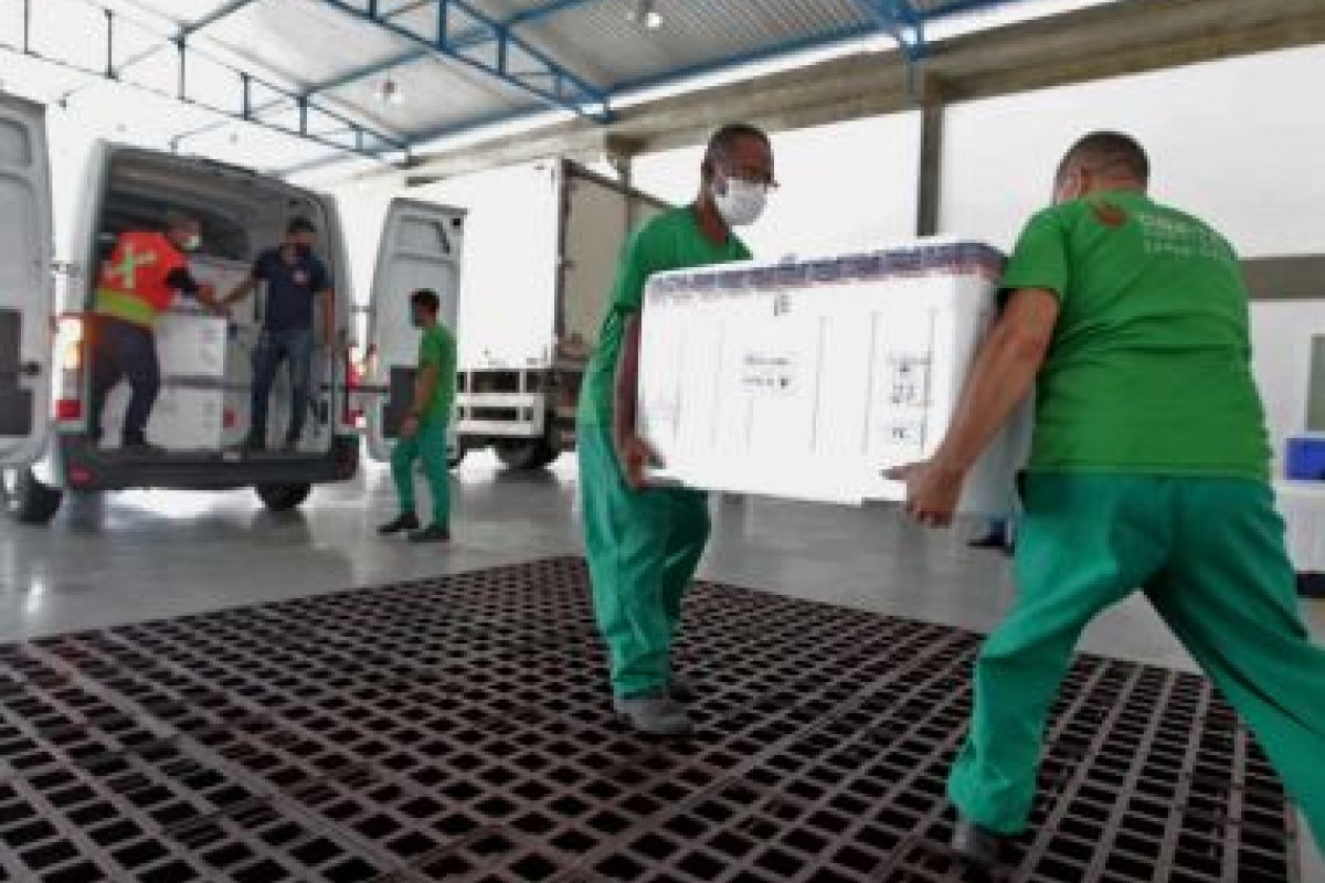 Governo Federal envia 150 mil doses de vacina BCG à Bahia