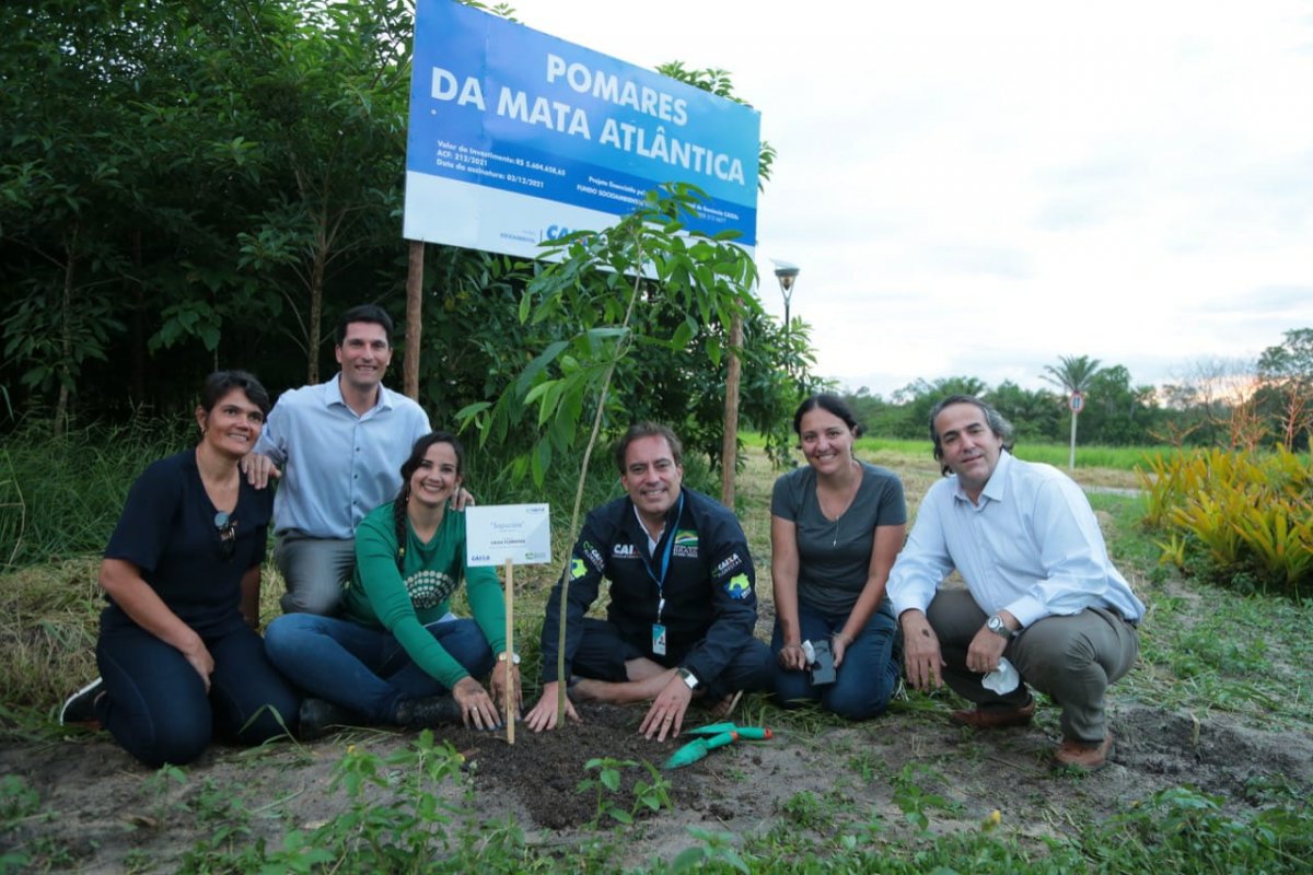 Fundo para projeto que prevê recomposição florestal na Mata Atlântica é aprovado