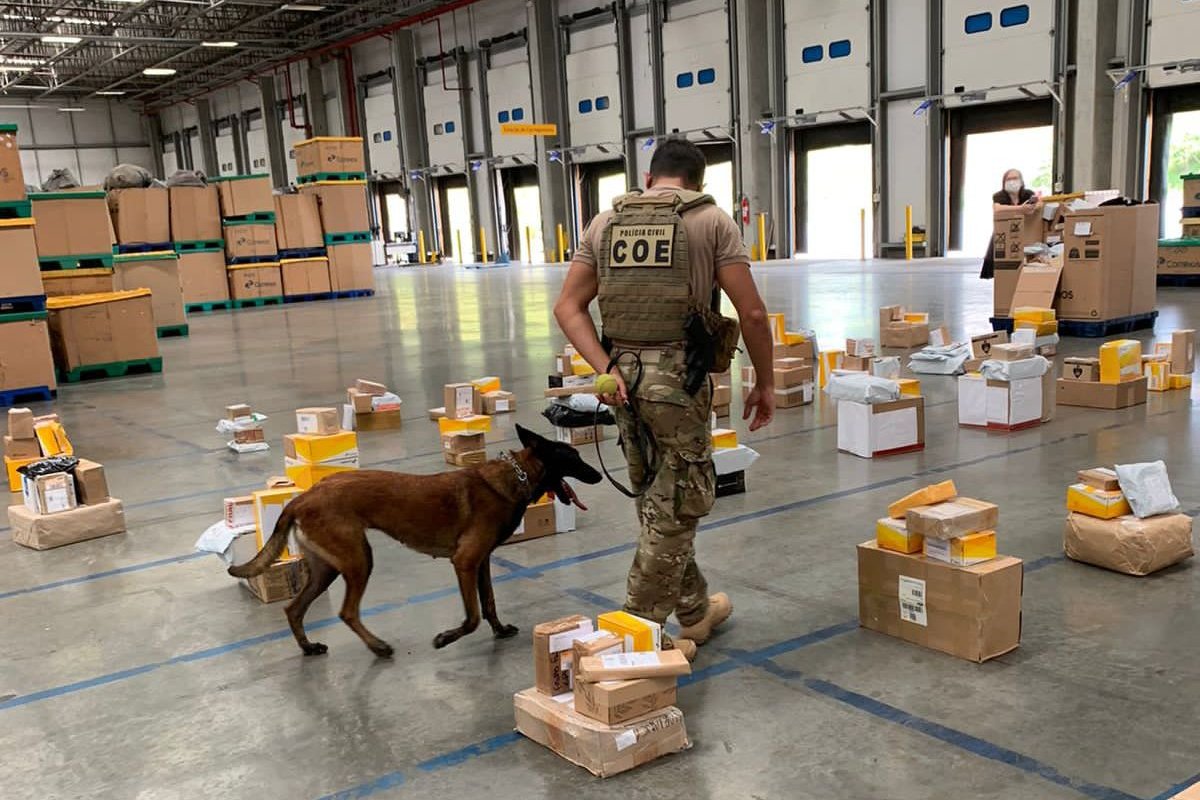 Encomendas com drogas são apreendidas nos Correios de Simões Filho