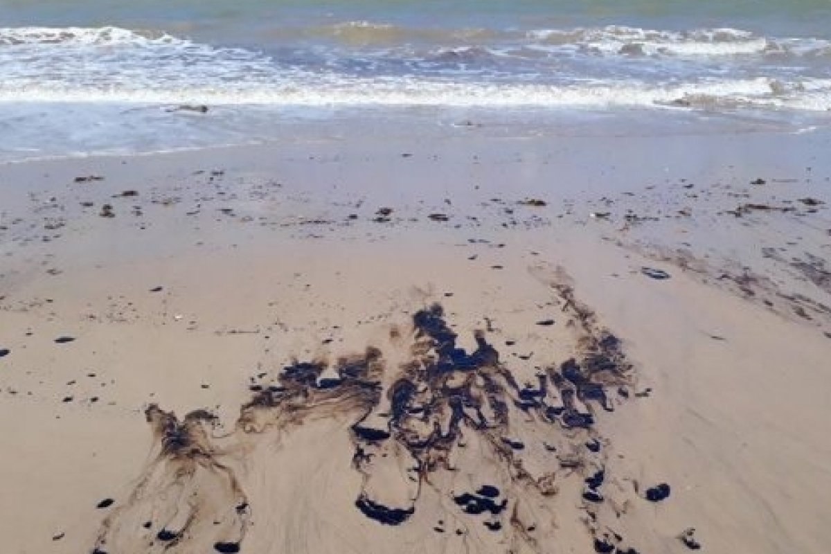 Em nove estados, 132 praias são afetadas por manchas de óleo.