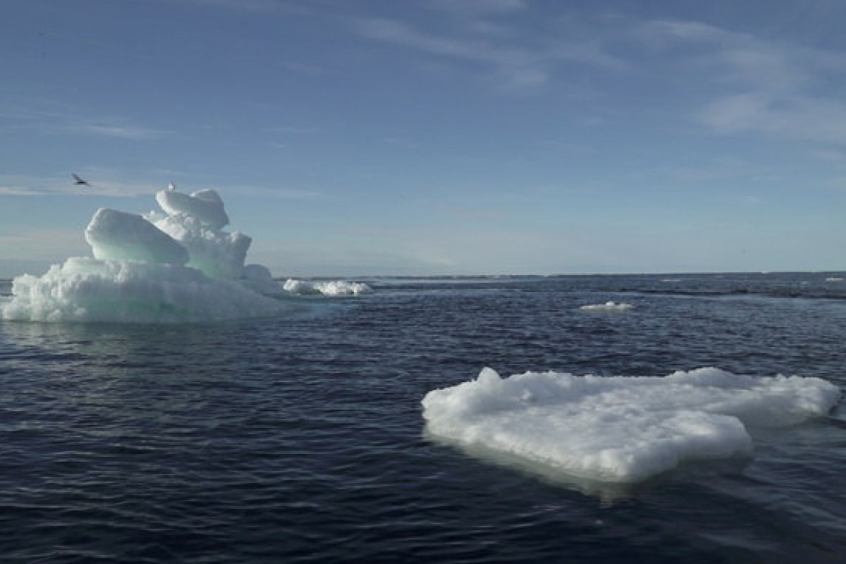 Agência da ONU registra novo recorde de temperatura no Ártico: 38º C