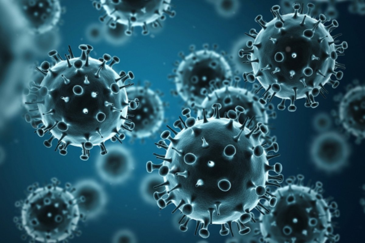 Bahia confirma primeira morte causada por H3N2