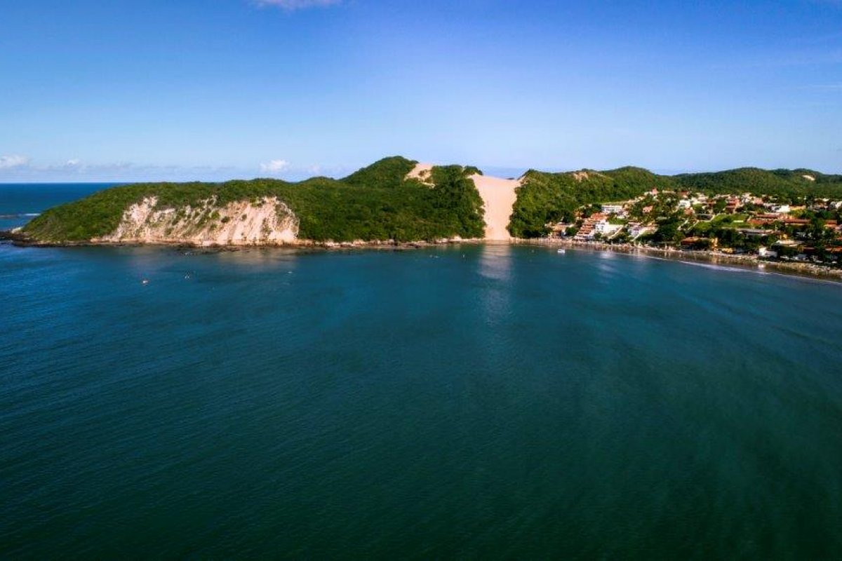 Boletim Mensal Braztoa: impactos iniciais da Ômicron nas viagens e sustentabilidade em tempos de pandemia